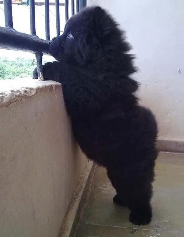 被遗忘的角落