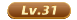 31级